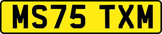 MS75TXM