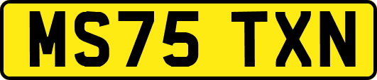 MS75TXN