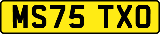 MS75TXO