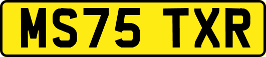 MS75TXR