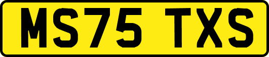 MS75TXS