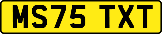 MS75TXT