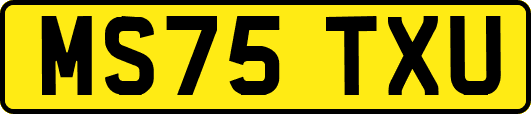 MS75TXU