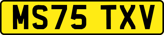 MS75TXV