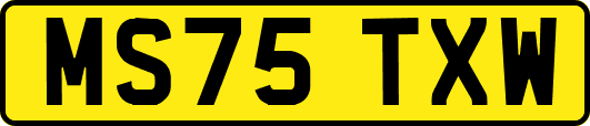 MS75TXW