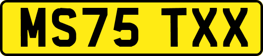 MS75TXX