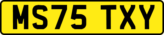 MS75TXY