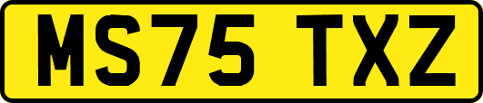 MS75TXZ