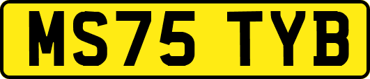 MS75TYB