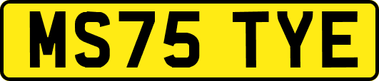 MS75TYE