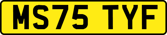 MS75TYF