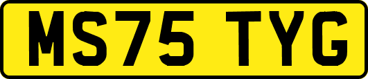 MS75TYG