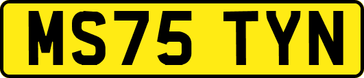 MS75TYN