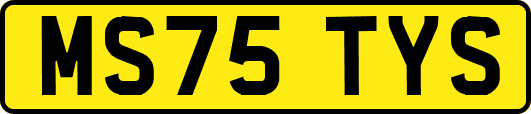 MS75TYS