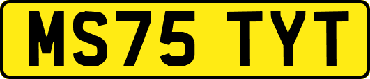 MS75TYT