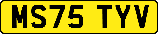 MS75TYV
