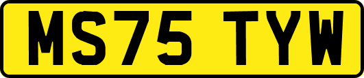 MS75TYW