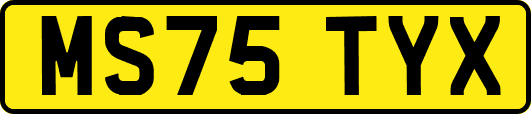 MS75TYX