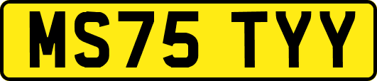 MS75TYY