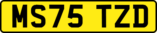 MS75TZD