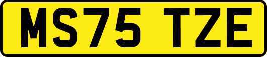 MS75TZE