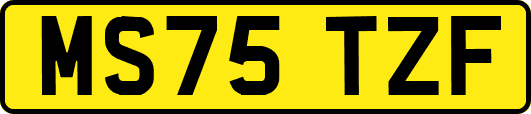 MS75TZF