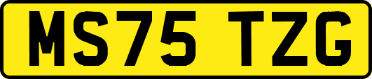 MS75TZG