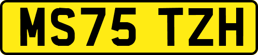 MS75TZH