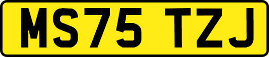 MS75TZJ