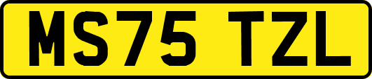 MS75TZL