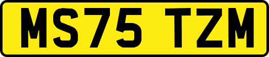 MS75TZM
