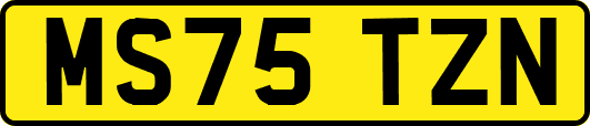 MS75TZN