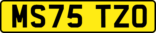 MS75TZO