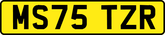 MS75TZR