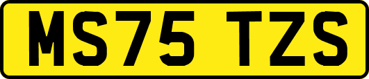 MS75TZS