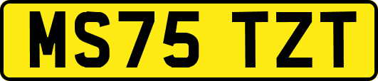 MS75TZT