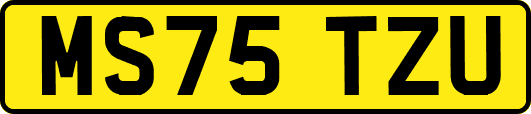 MS75TZU