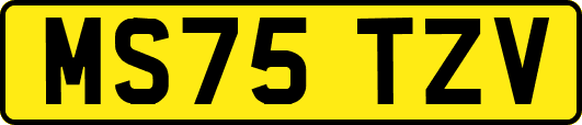 MS75TZV
