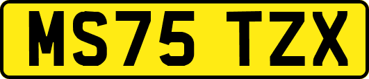 MS75TZX