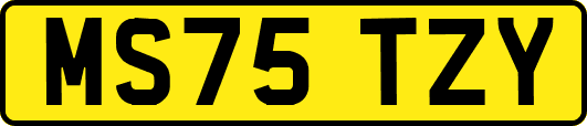 MS75TZY