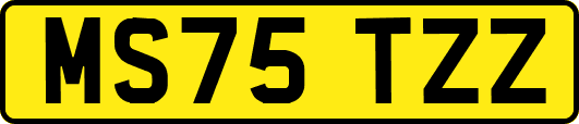 MS75TZZ