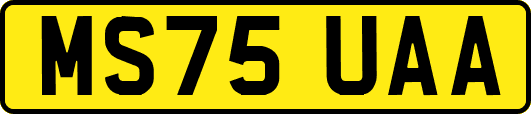 MS75UAA