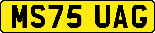 MS75UAG