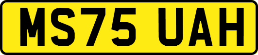 MS75UAH