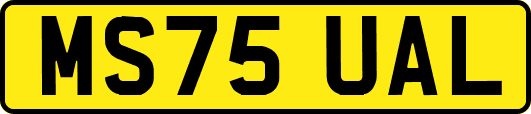 MS75UAL