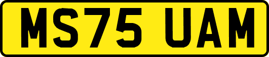 MS75UAM