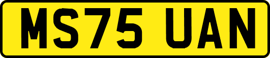 MS75UAN