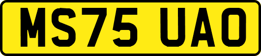 MS75UAO