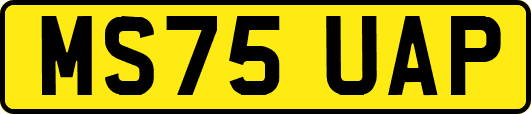 MS75UAP