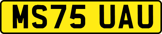 MS75UAU